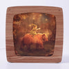 Star Walk Seasonal Transparency | ©Conscious Craft